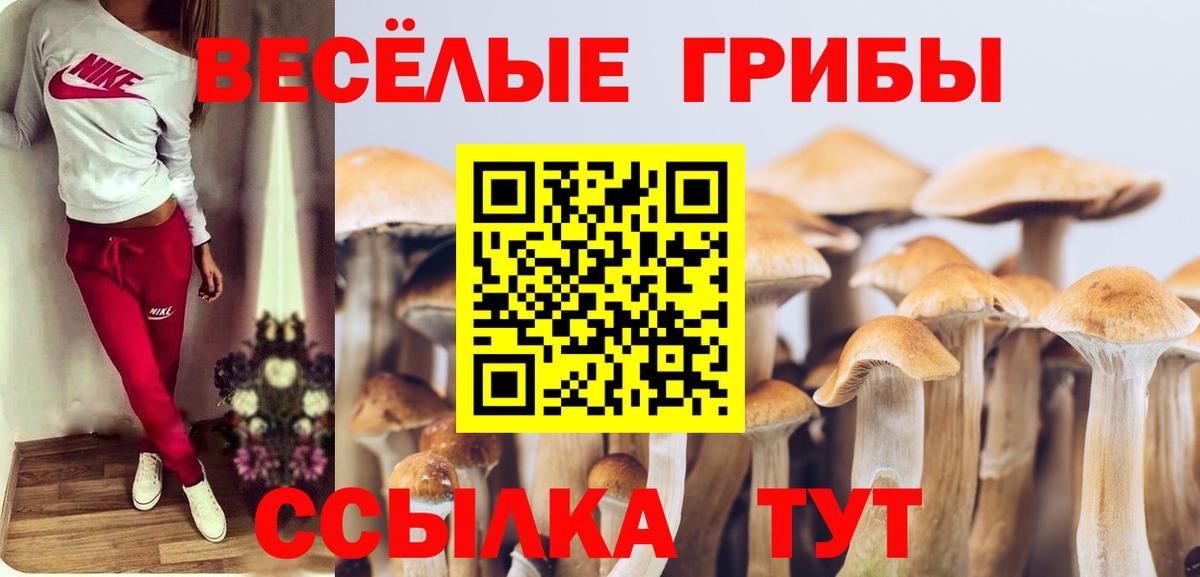 Галлюциногенные грибы Psilocybe  Вход с VPN  Тельмана 