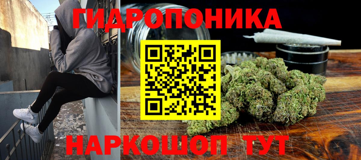 Конопля семена  Бошки марихуана Ganja  Тельмана  Вход с VPN  Канабис Ganja 